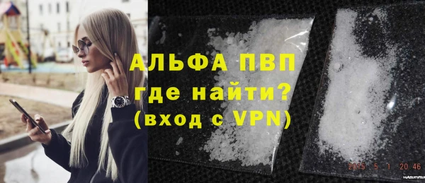 эйфоретик Баксан